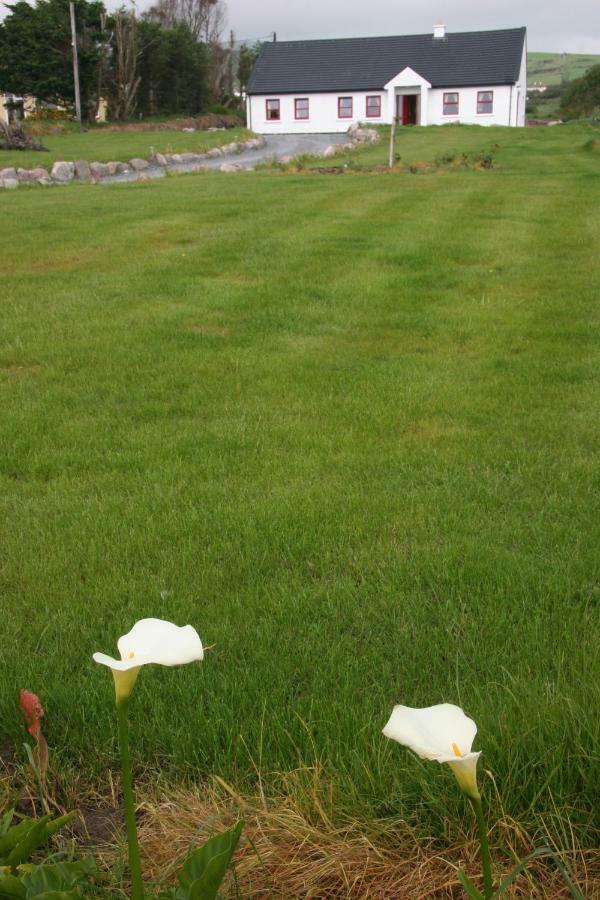 بالينسكاليغس Rose Cottage المظهر الخارجي الصورة